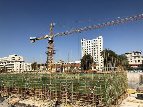 10月30日菏泽中心工程进展播报 11栋住宅楼开工在建