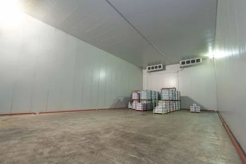 建造一个大型甜瓜冷藏库的造价