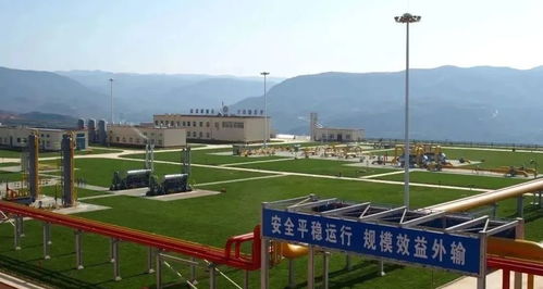 一大批 今冬 入职