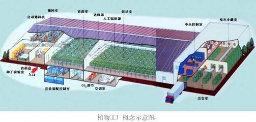 智慧农业研学产品:揭开我国植物工厂的科技奥秘