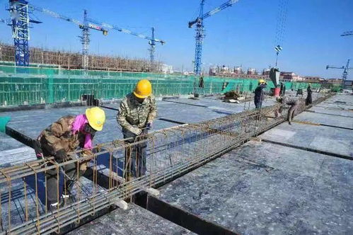 中农批冷链物流项目一期工程建设接近尾声